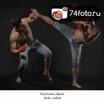 Дипломные работы студентов набора \"Февраль-2013\"